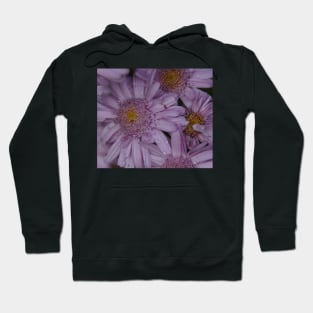 Flowers in May at Magpie Springs by Avril Thomas Hoodie